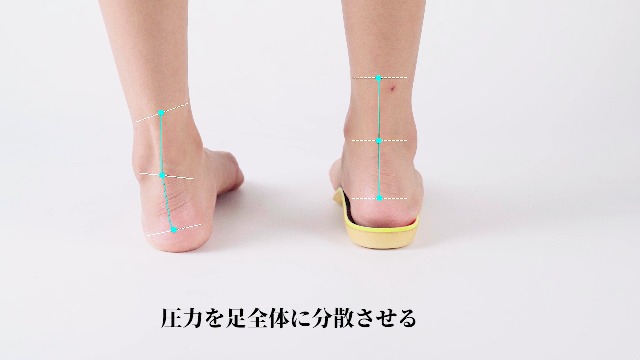 Amazon.co.jp: インソール [1日中快適] 衝撃吸収 立ち仕事 中敷き